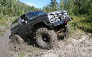 vitae aptent pharetra viverra litora