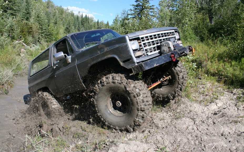 vitae aptent pharetra viverra litora